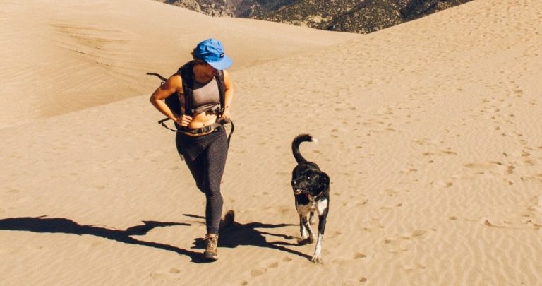 22 Tips and Best Gear for Running with Your Dog
