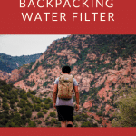 Backpacking Water Filter
