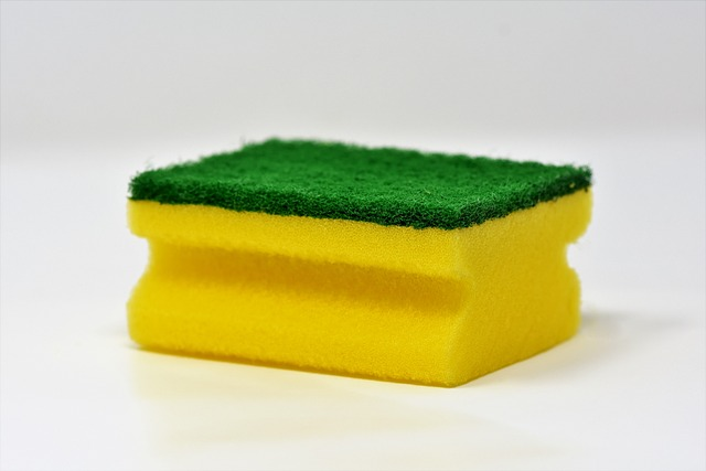 sponge, cleaning sponge, clean