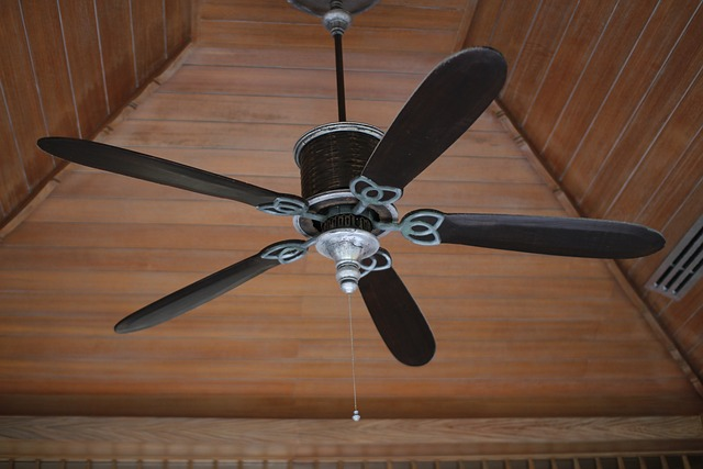 fan, wind, ceilingair
